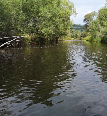 Moldau, Fluß in Tschechien