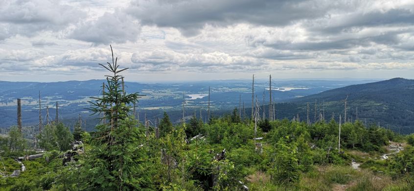 Böhmerwald