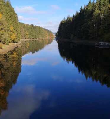 Bayerischer Wald: Klarer See im Herbst