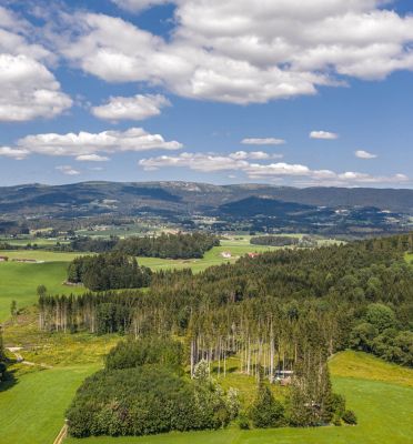 Der Dreisesselberg, Ausblick von Breitenberg aus