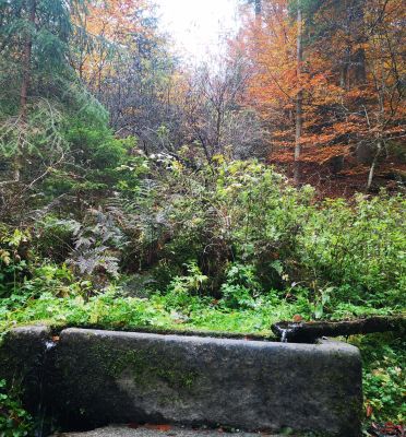 Sauß&shy;bach&shy;klamm & Karoli