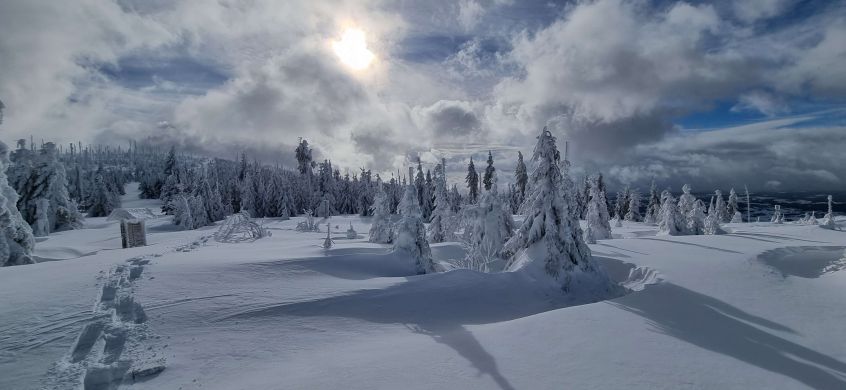 Nationalpark Bayerischer Wald