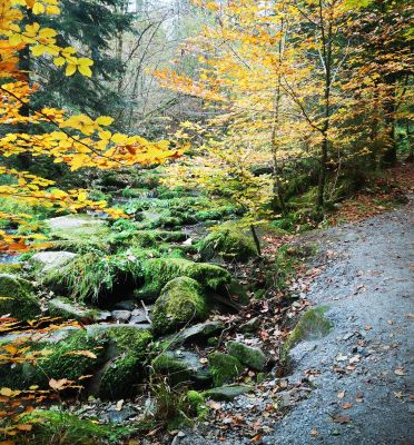 Sauß&shy;bach&shy;klamm & Karoli