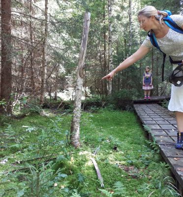 Nationalpark Bayerischer Wald: Naturerlebnis