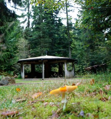 Waldspielgelände am Nationalpark Bayerischer Wald: Pavillon