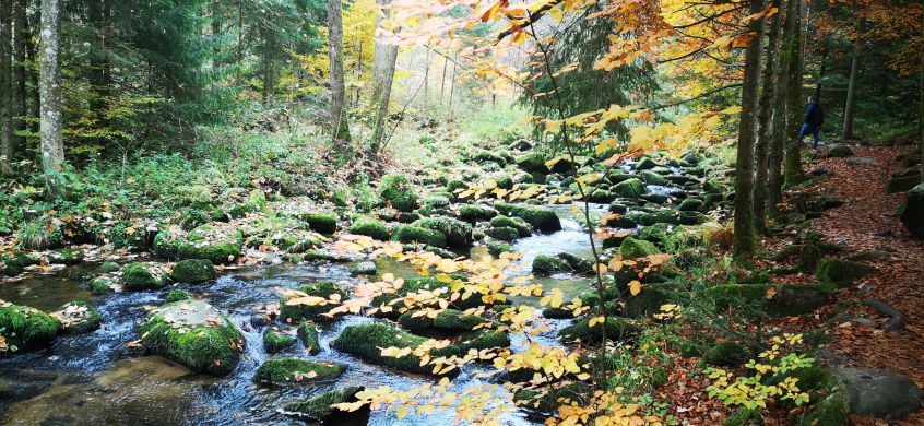 Sauß&shy;bach&shy;klamm & Karoli