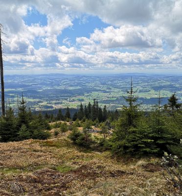 Ausblick vom Dreisessel im Bayerischen Wald