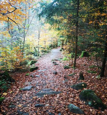 Sauß&shy;bach&shy;klamm & Karoli